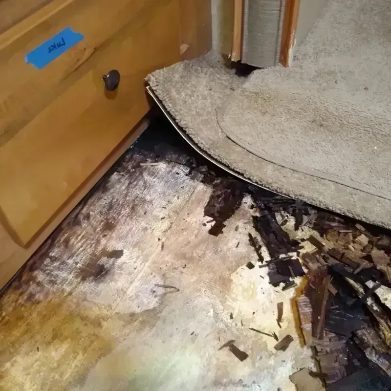 Best Wood Floor Water Damage Service in Portland, NY